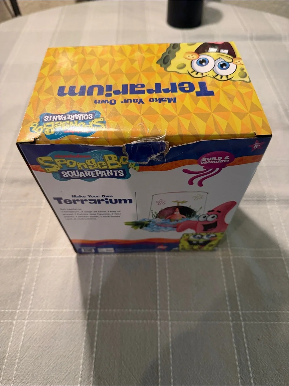 SpongeBob Squarepants spongebob squarepants